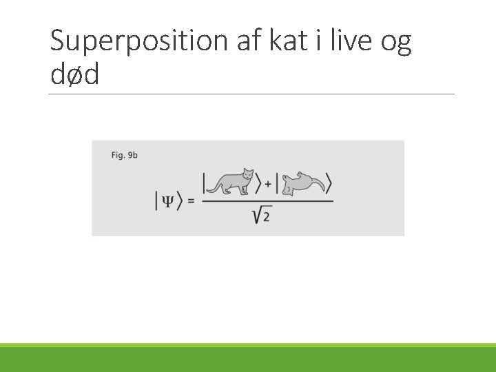 Superposition af kat i live og død 