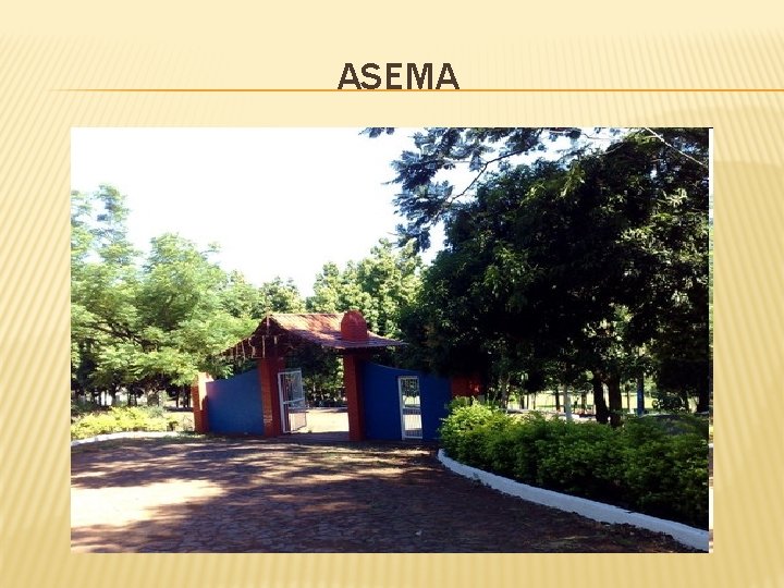 ASEMA 