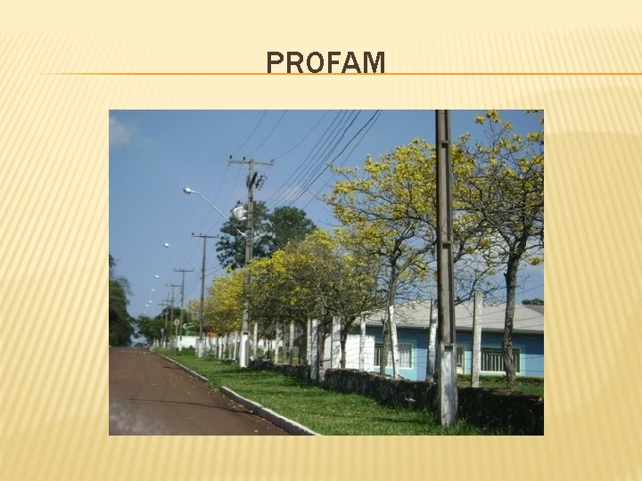 PROFAM 