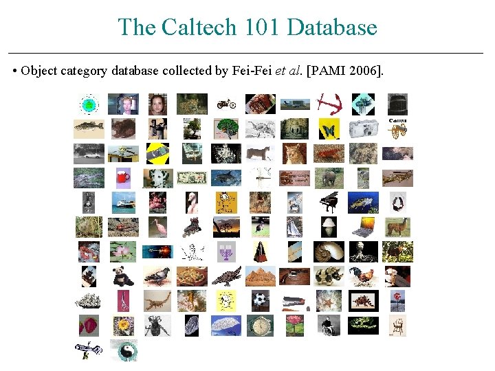 The Caltech 101 Database • Object category database collected by Fei-Fei et al. [PAMI