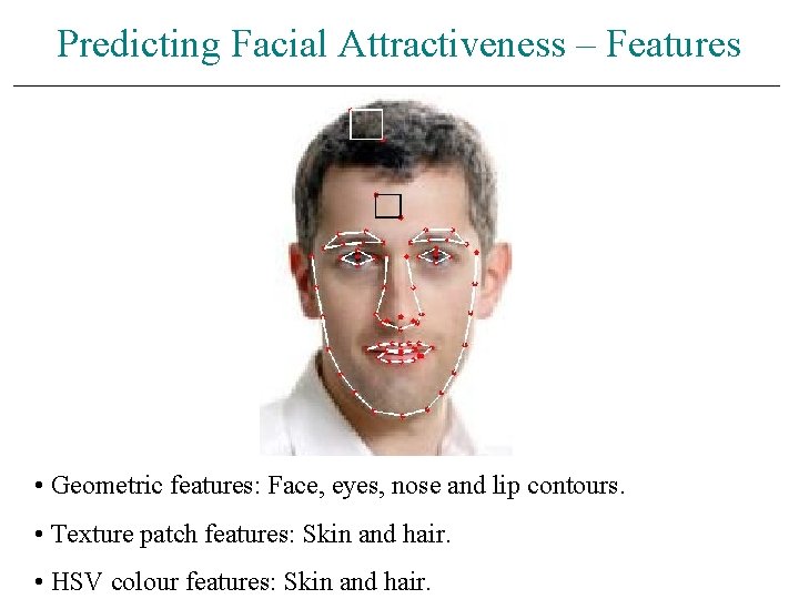 Predicting Facial Attractiveness – Features • Geometric features: Face, eyes, nose and lip contours.