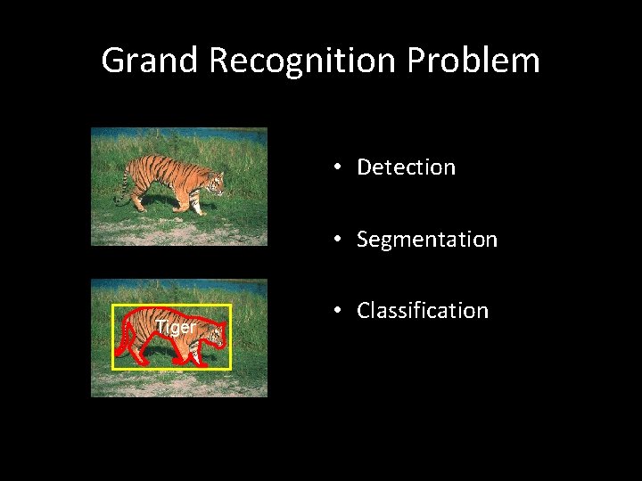 Grand Recognition Problem • Detection • Segmentation Tiger • Classification 