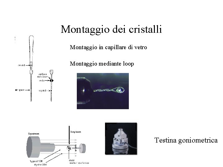 Montaggio dei cristalli Montaggio in capillare di vetro Montaggio mediante loop Testina goniometrica 