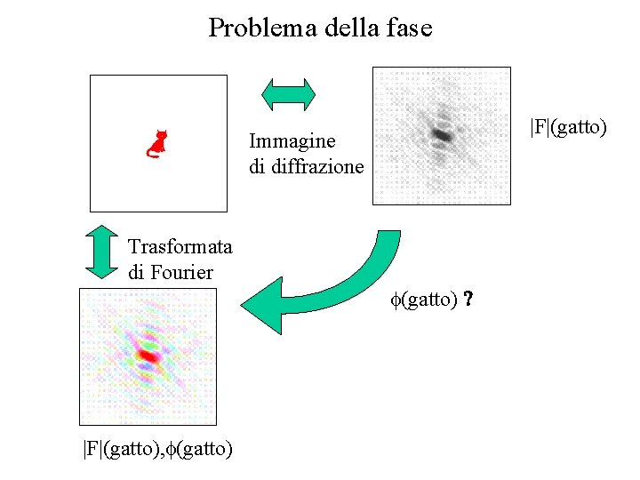 Problema della fase |F|(gatto) Immagine di diffrazione Trasformata di Fourier f(gatto) ? |F|(gatto), f(gatto)