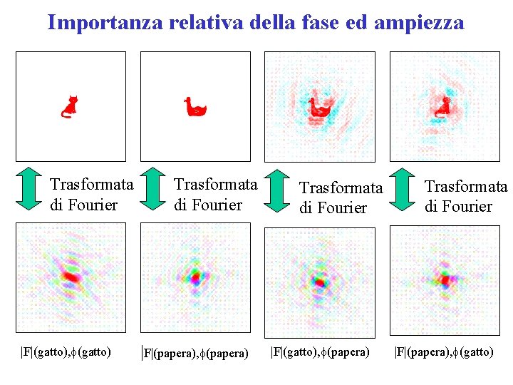 Importanza relativa della fase ed ampiezza Trasformata di Fourier |F|(gatto), f(gatto) Trasformata di Fourier