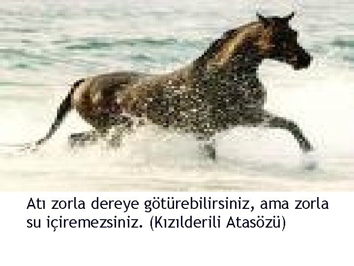 Atı zorla dereye götürebilirsiniz, ama zorla su içiremezsiniz. (Kızılderili Atasözü) 