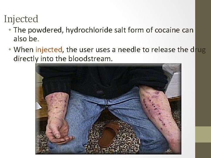 Injected • The powdered, hydrochloride salt form of cocaine can also be. • When