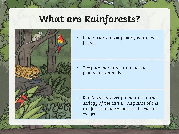 What are Rainforests? • Rainforests are very dense, warm, wet forests. • They are What are Rainforests? • Rainforests are very dense, warm, wet forests. • They are