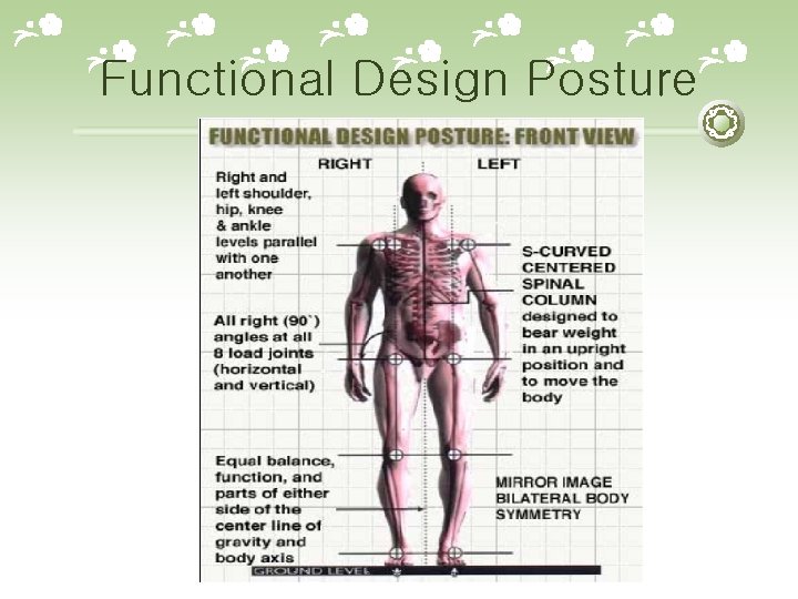 Functional Design Posture 