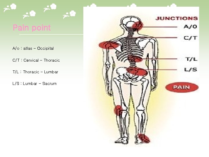 Pain point A/o : atlas – Occipital C/T : Cervical – Thoracic T/L :