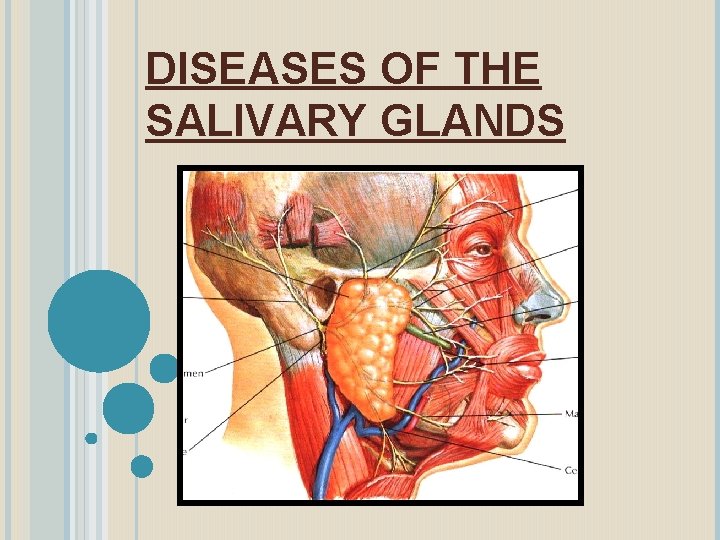 DISEASES OF THE SALIVARY GLANDS 