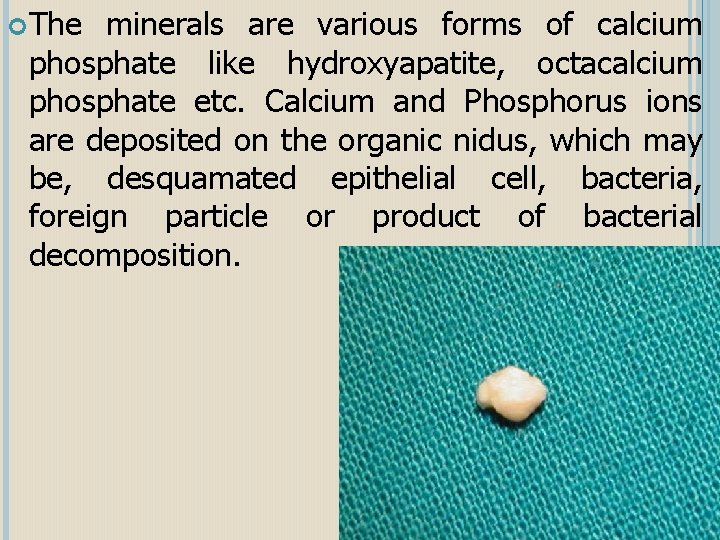  The minerals are various forms of calcium phosphate like hydroxyapatite, octacalcium phosphate etc.