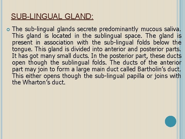 SUB-LINGUAL GLAND: The sub-lingual glands secrete predominantly mucous saliva. This gland is located in