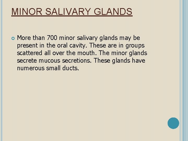 MINOR SALIVARY GLANDS More than 700 minor salivary glands may be present in the