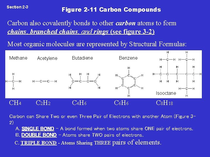 Section 2 -3 Figure 2 -11 Carbon Compounds Carbon also covalently bonds to other Section 2 -3 Figure 2 -11 Carbon Compounds Carbon also covalently bonds to other