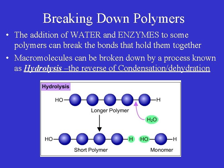 Breaking Down Polymers • The addition of WATER and ENZYMES to some polymers can Breaking Down Polymers • The addition of WATER and ENZYMES to some polymers can