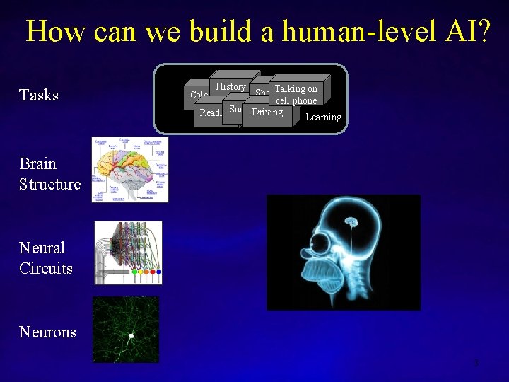 How can we build a human-level AI? Tasks History Talking on Shopping Calculus cell