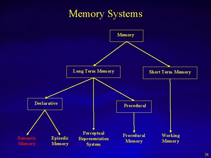 Memory Systems Memory Long Term Memory Declarative Semantic Memory Episodic Memory Short Term Memory