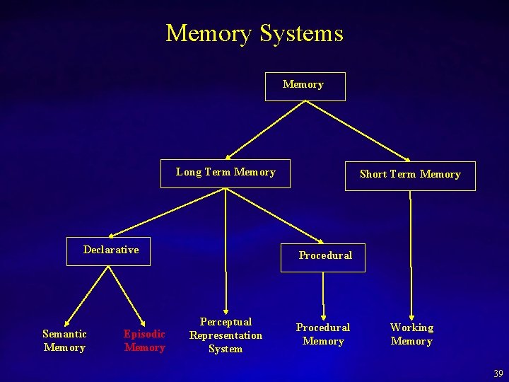 Memory Systems Memory Long Term Memory Declarative Semantic Memory Episodic Memory Short Term Memory