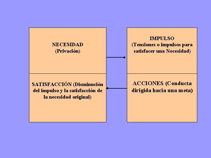 NECESIDAD (Privación) SATISFACCIÓN (Disminución del impulso y la satisfacción de la necesidad original) IMPULSO