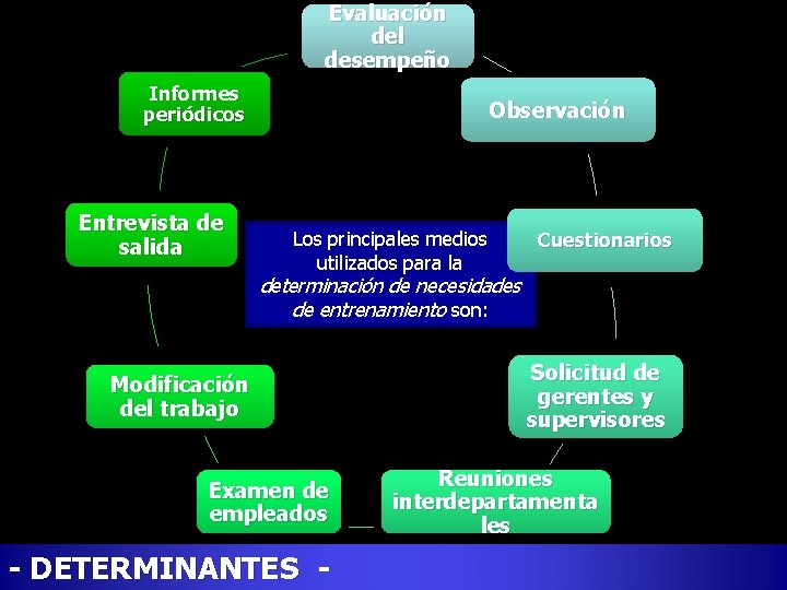 Evaluación del desempeño Informes periódicos Entrevista de salida Observación Los principales medios utilizados para