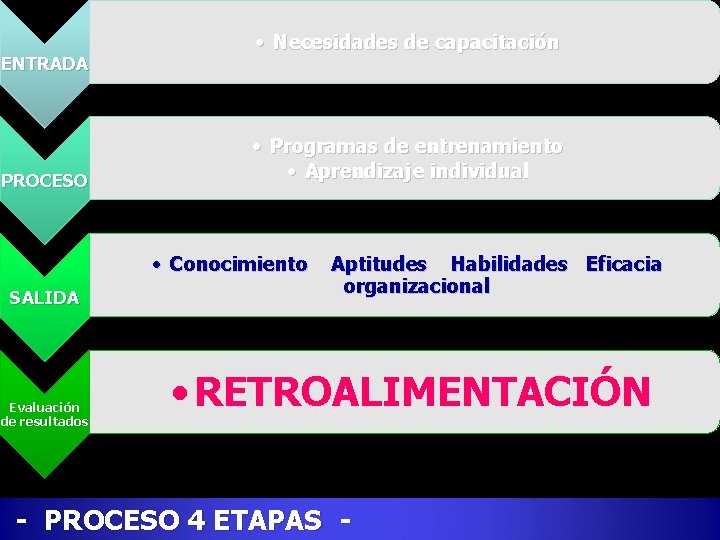 ENTRADA PROCESO • Necesidades de capacitación • Programas de entrenamiento • Aprendizaje individual •