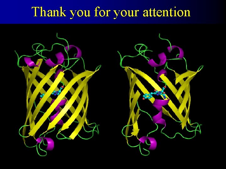 Thank you for your attention 