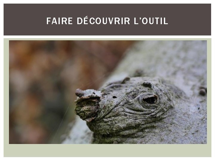 FAIRE DÉCOUVRIR L’OUTIL 