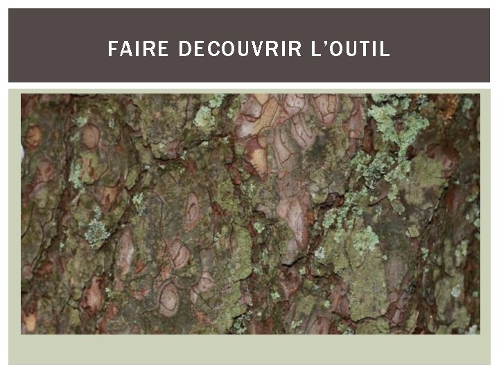 FAIRE DECOUVRIR L’OUTIL 