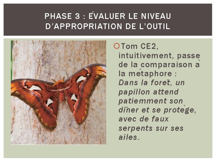 PHASE 3 : E V ALUER LE NIVEAU D’APPROPRIATION DE L’OUTIL Tom CE 2,
