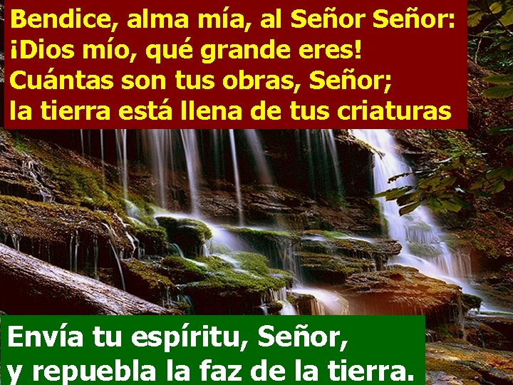 Bendice, alma mía, al Señor: ¡Dios mío, qué grande eres! Cuántas son tus obras, Bendice, alma mía, al Señor: ¡Dios mío, qué grande eres! Cuántas son tus obras,