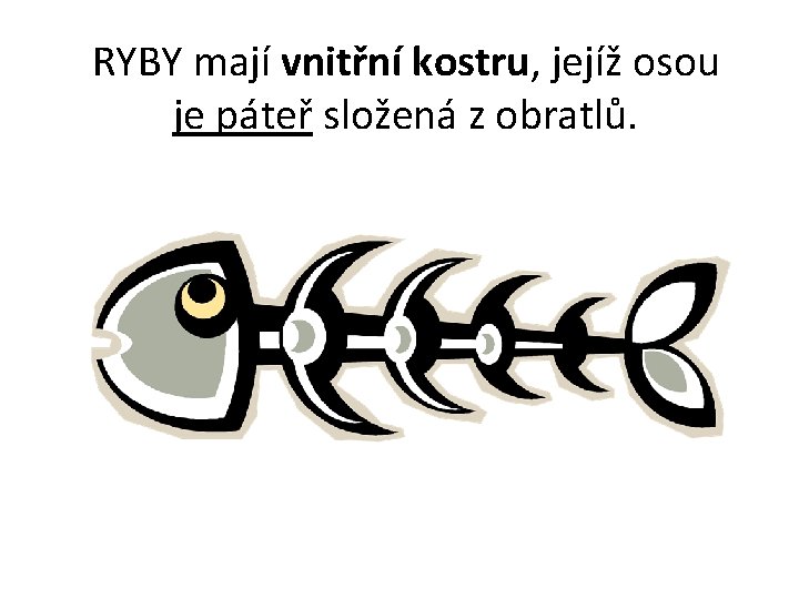 RYBY mají vnitřní kostru, jejíž osou je páteř složená z obratlů. 