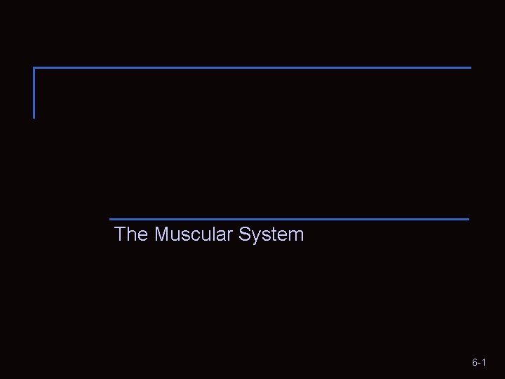 The Muscular System 6 -1 