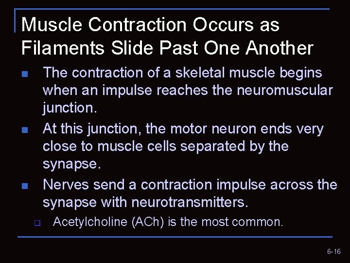 Muscle Contraction Occurs as Filaments Slide Past One Another The contraction of a skeletal