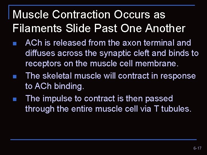 Muscle Contraction Occurs as Filaments Slide Past One Another n n n ACh is