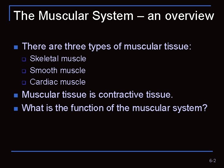 The Muscular System – an overview n There are three types of muscular tissue: