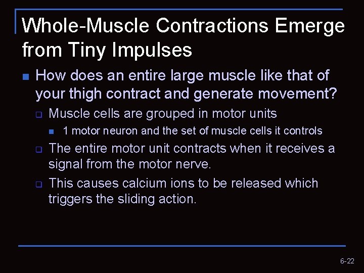 Whole-Muscle Contractions Emerge from Tiny Impulses n How does an entire large muscle like