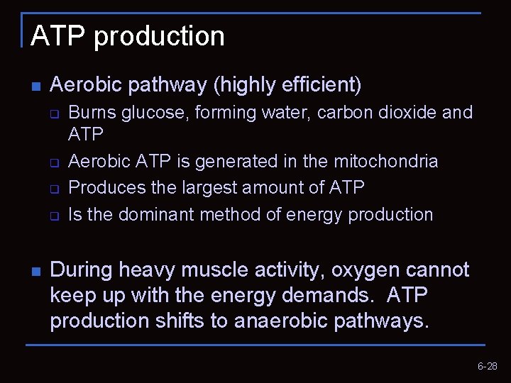 ATP production n Aerobic pathway (highly efficient) q q n Burns glucose, forming water,
