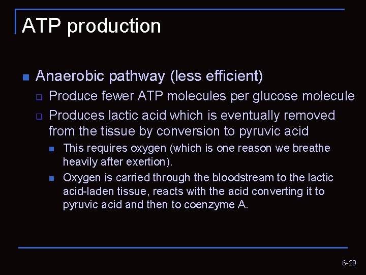 ATP production n Anaerobic pathway (less efficient) q q Produce fewer ATP molecules per