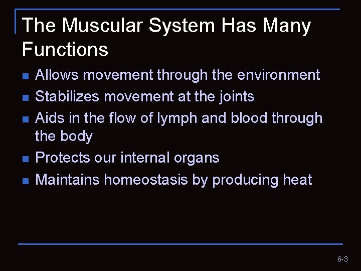 The Muscular System Has Many Functions n n n Allows movement through the environment