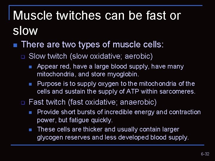 Muscle twitches can be fast or slow n There are two types of muscle