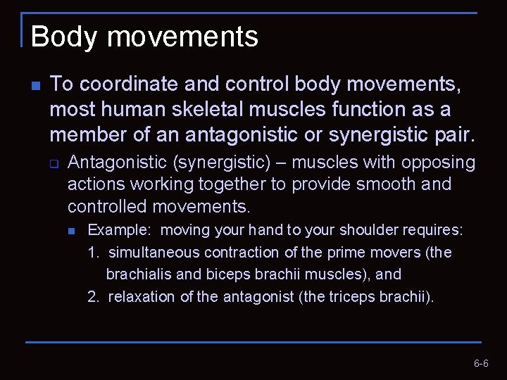 Body movements n To coordinate and control body movements, most human skeletal muscles function