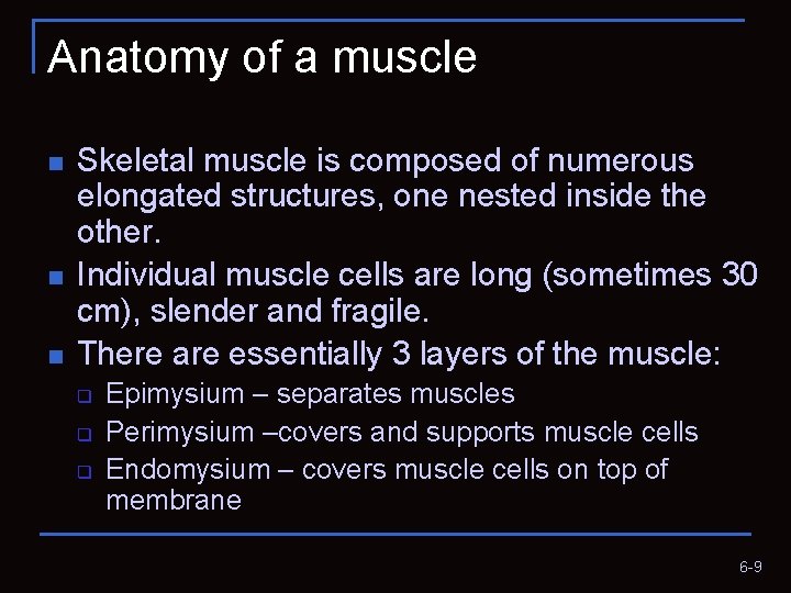 Anatomy of a muscle n n n Skeletal muscle is composed of numerous elongated