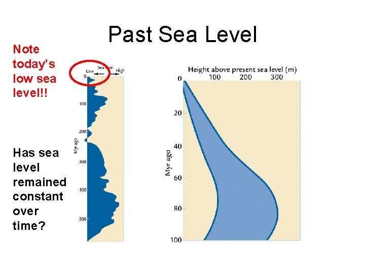 Note today’s low sea level!! Has sea level remained constant over time? Past Sea