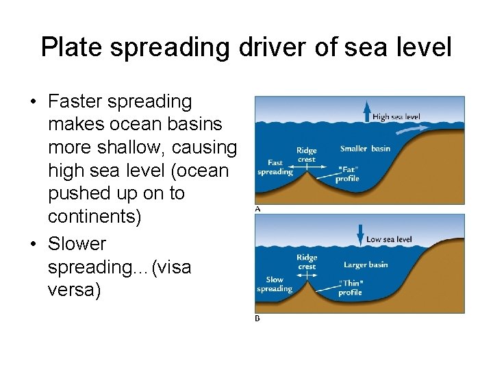 Plate spreading driver of sea level • Faster spreading makes ocean basins more shallow,