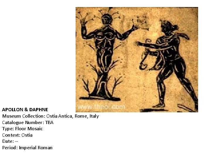 APOLLON & DAPHNE Museum Collection: Ostia Antica, Rome, Italy Catalogue Number: TBA Type: Floor