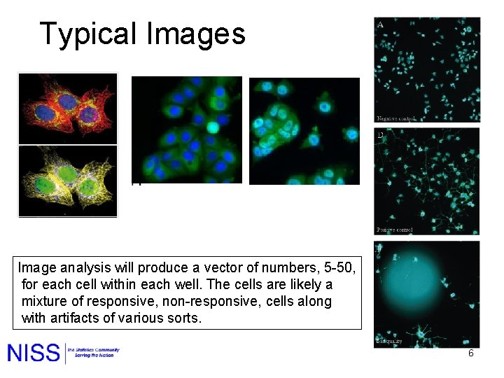 Typical Images Image analysis will produce a vector of numbers, 5 -50, for each