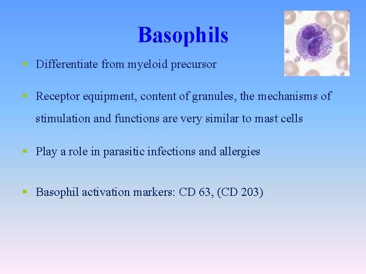 Basophils § Differentiate from myeloid precursor § Receptor equipment, content of granules, the mechanisms