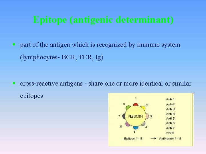 Epitope (antigenic determinant) § part of the antigen which is recognized by immune system