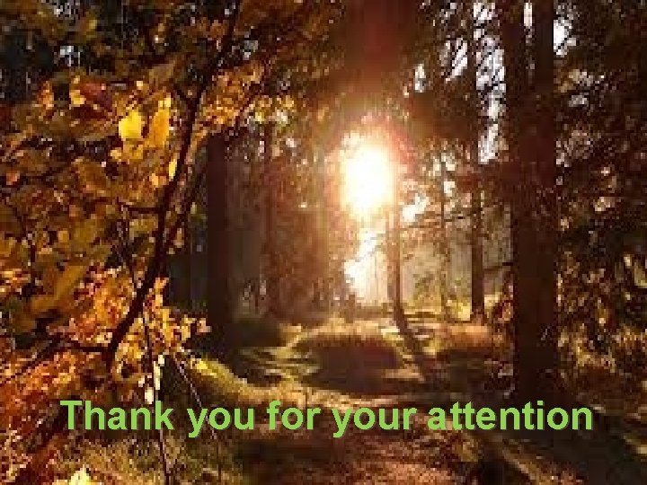 Thank you for your attention 